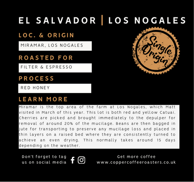 El Salvador Miramar Los Nogales Red Honey | Single Origin Speciality Coffee