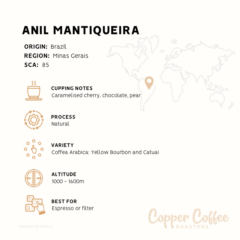 Brazil Anil Mantiqueira | Single Origin Speciality Coffee