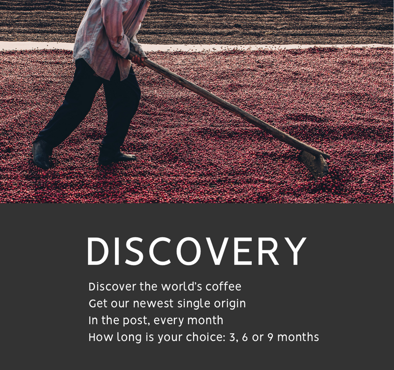 Discovery Coffee of the Month - 9 Month Gift Subscription