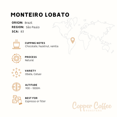 Brazil Monteiro Lobato | Single Origin Speciality Coffee