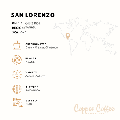 Costa Rica San Lorenzo Natural Process | Single Origin Speciality Coffee