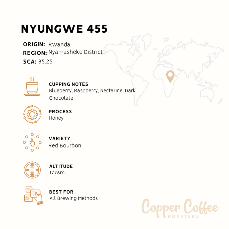 Rwanda Nyungwe Honey Process | Single Origin Speciality Coffee