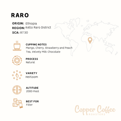 Ethiopia Raro Natural | Single Origin Speciality Coffee