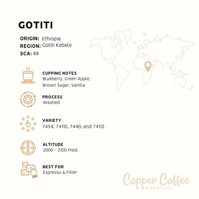 Ethiopia Gotiti | Single Origin Speciality Coffee