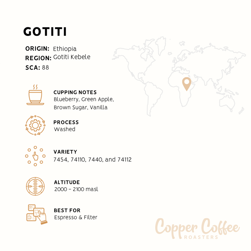 Ethiopia Gotiti | Single Origin Speciality Coffee