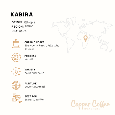 Ethiopia Kabira Natural | Single Origin Speciality Coffee
