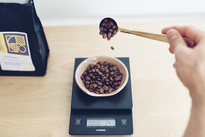 Hario V60 Drip Coffee Scales