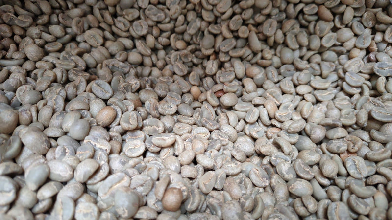 Colombia Excelso - Unroasted Green Coffee