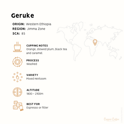 Ethiopia Geruke | Single Origin Speciality Coffee